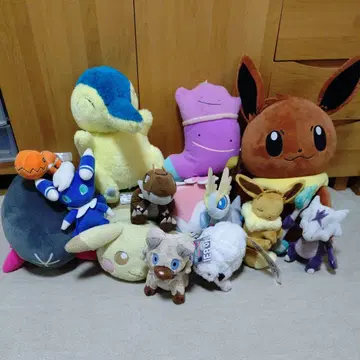 포켓몬 봉제 인형 세트 중형