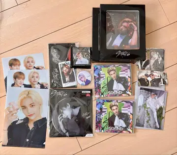 Stray Kids 현진 세트