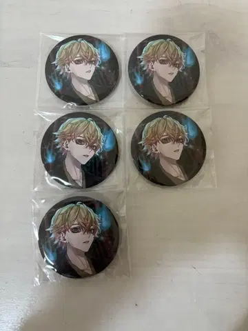 시쿠포니 미코토 카이 5점