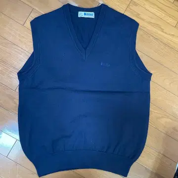 Lakeland 네이비 V넥 베스트 남성용 상의
