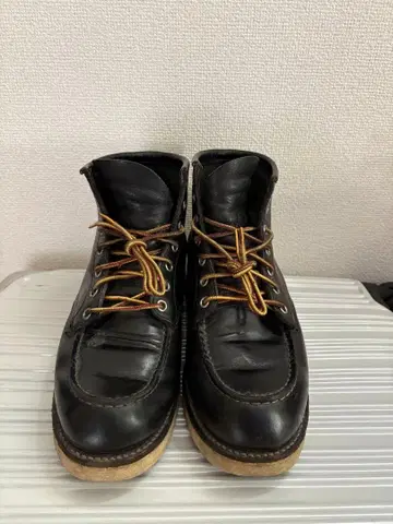 RED WING 레드윙 아이리쉬 세터 깃털 택 8130