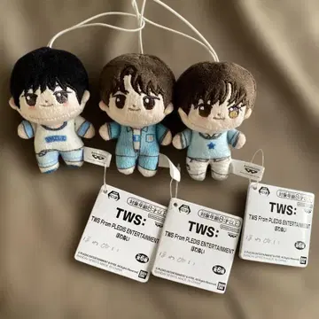 TWS 호와누이 3종 세트