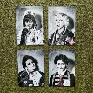 마우피 페스티벌 포토 카드 세트 B&ZAI