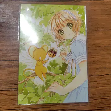 CLAMP 카드캡터 사쿠라전 엽서 세트