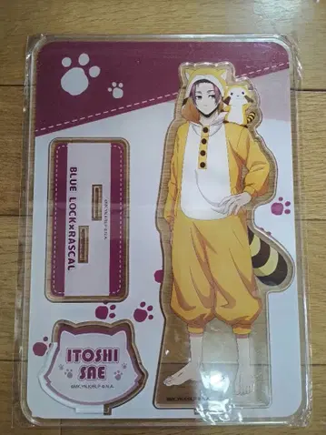 블루 록 x RASCAL BIG 아크릴 스탠드 이토시 사에 라스칼