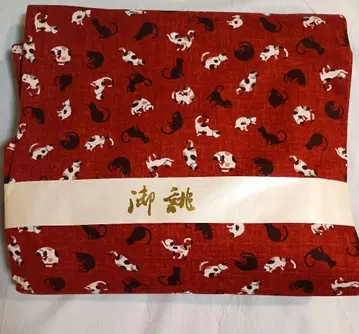 나고야 오비 고양이