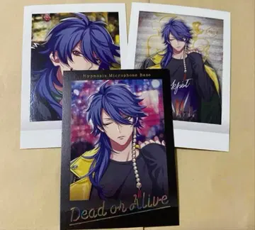 base 아리스가와 다이토 파샤코레 히프노시스 마이크 금박