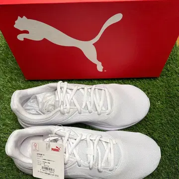 푸마 트랜스포트 Puma Transport