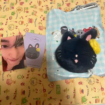 RIIZE 상하이 팝업 굿즈 원빈 냥독