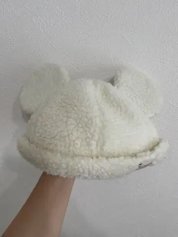 디즈니 뒤집어쓰기