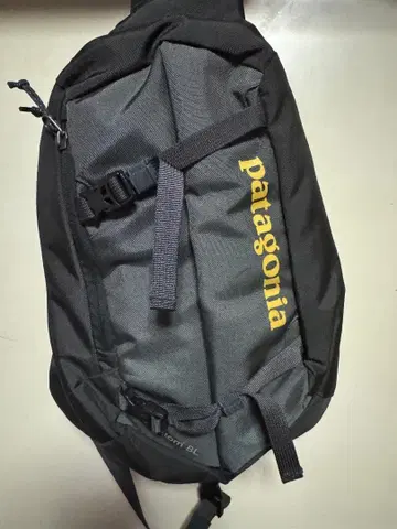 patagonia Atom 8L 바디백(48261-FORT)