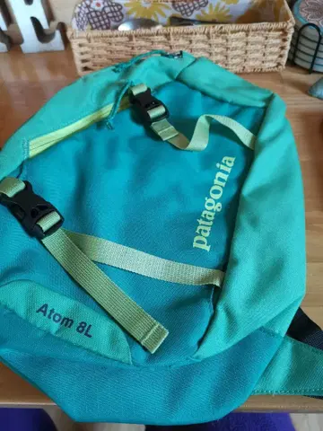 세일 Patagonia Atom 8L 백팩 그린