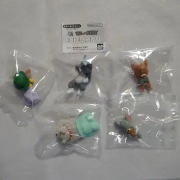 톰과 제리 아직 졸려요 전 5종 세트