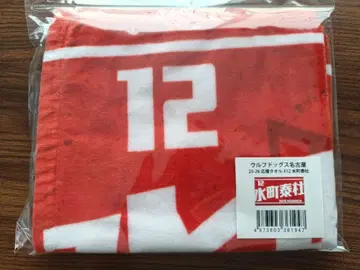 미즈마치 타이토 선수 응원 타월 25-26