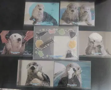 랏코의 메이짱 캡슐 복권 브로마이드 사진 프레임 키라