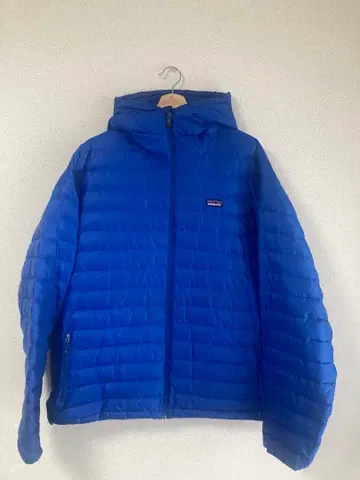 Patagonia 다운 자켓
