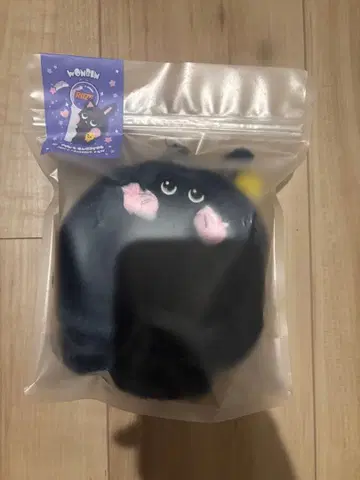 RIIZE 원빈 토냥도크 응원봉 케이프