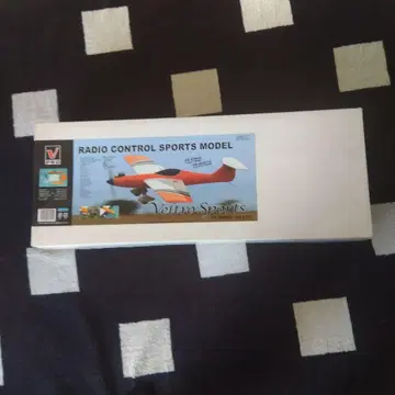 무선 조종 비행기