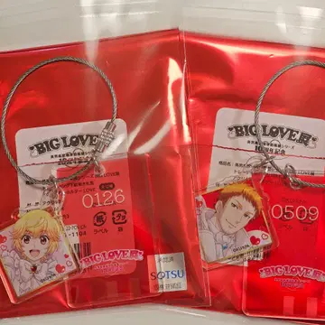 BIG LOVE전 신발장 나무 패 모양 아크릴 키링 하코네 유키 고라