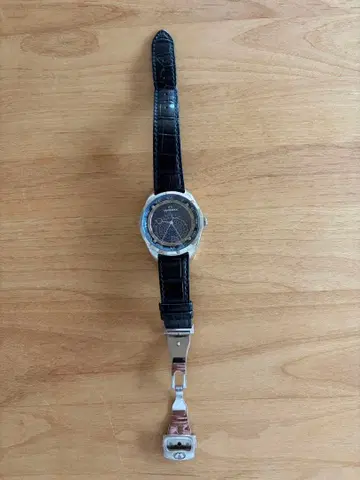 시티즌 칸파노라 코스모사인