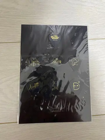 BiSH Fender제 오리지널 피크 세트