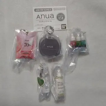 Anua 미니어처 참 전 5종 세트