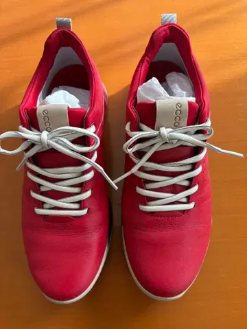 에코 골프화 빨간색 24cm