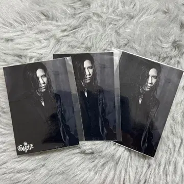 가제트 아오이 스티커 세트