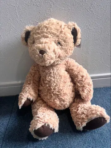 Jellycat Edward bear medium