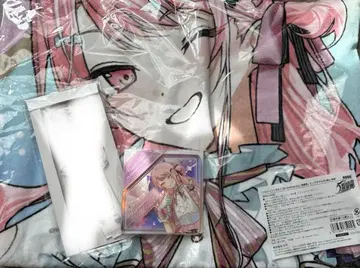 프로세카 감사제 미즈키