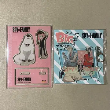 SPY x FAMILY 빅 아크릴 키링 최애 여행 특전 아크릴 스탠드