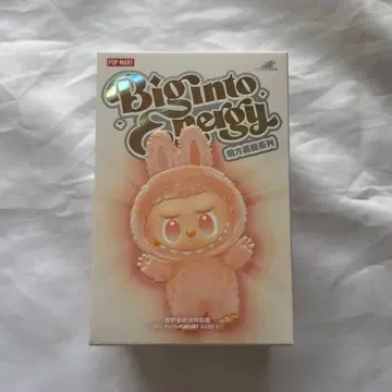 POPMART 라브브 에너지 Energy