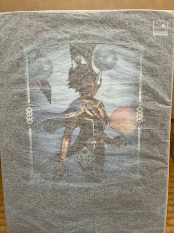 Fate/Grand Order 아르주나 알타 피규어 미개봉 새상품