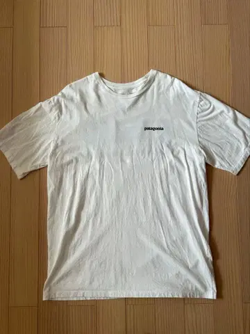 patagonia 오가닉 코튼 T셔츠 M 파타고니아
