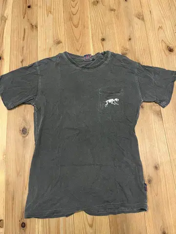 TEAM DREAM BICYCLING TEAM 셔츠