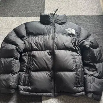 THE NORTH FACE 에코 눕시 쇼트 기장