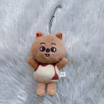 skzoo 콰카 푸딩 백참 스키즈 한