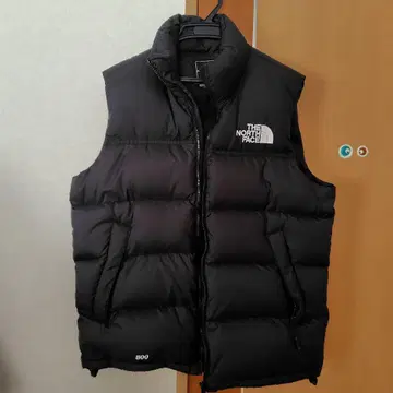 노스의 다운 베스트