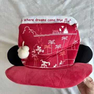 도쿄 디즈니랜드 팝콘 팬캡 파크 푸드 팬캡