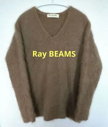 Ray BEAMS 브라운 V넥 스웨터 긴팔 프리 사이즈
