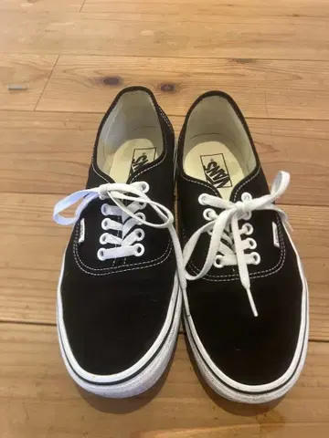 Vans 오센틱