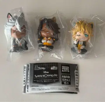 트위스테 어깨 쿵 Fig. 사바나클로 세트 레오나 라기 잭