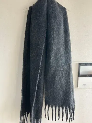 자라 그레이스 톨