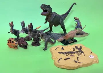티라노사우루스류 피규어 세트