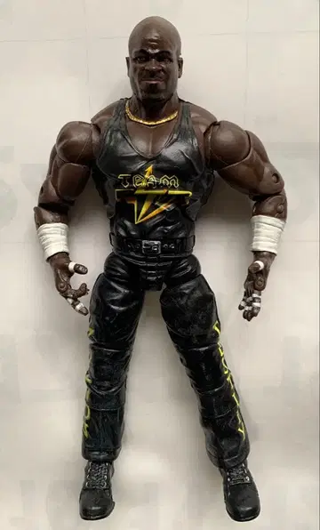 WWE TNA D-Von Dudley TEAM 3D 더들리 보이즈