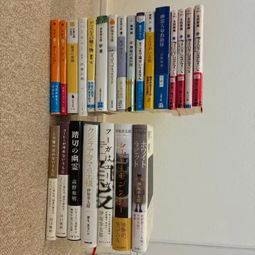 소설 여러 가지 세트