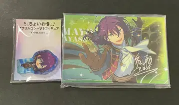 앙스타 아야세 마요이