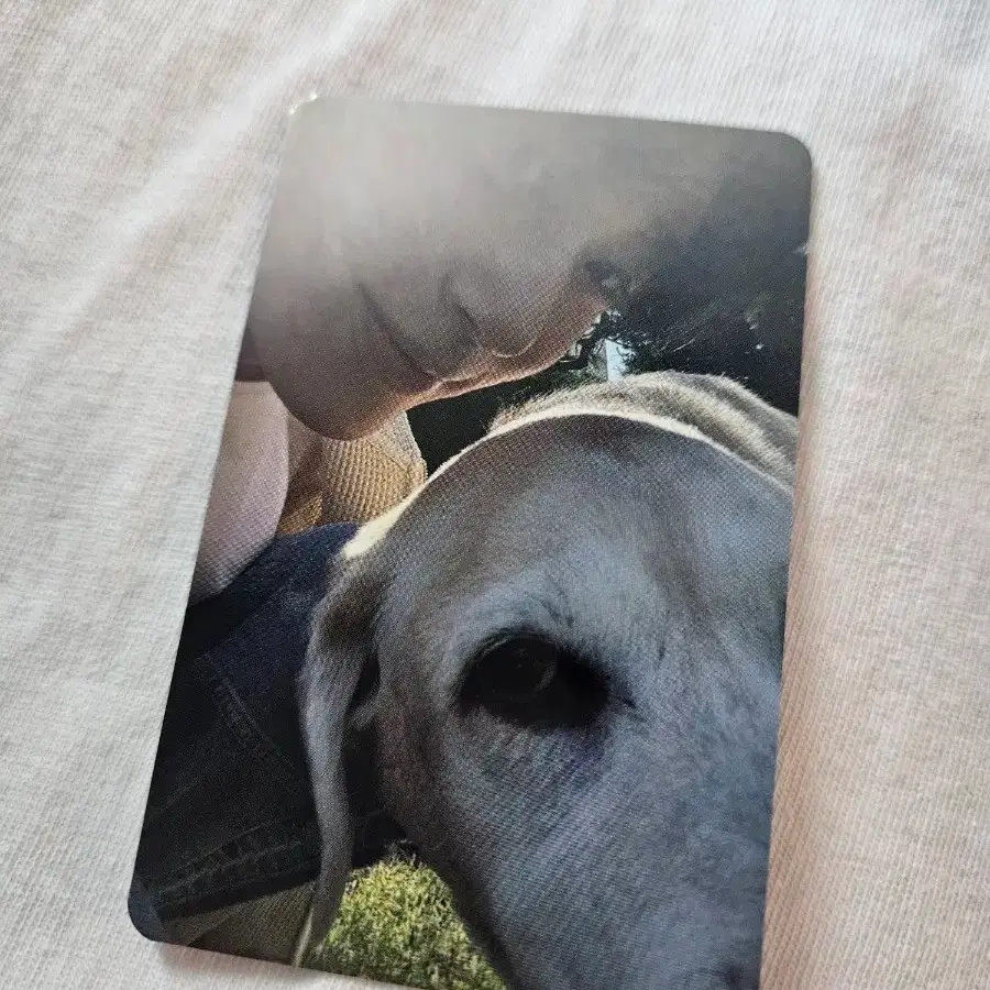 Byeon Wooseok &#x27;Lovely Runner&#x27; Random Photocard