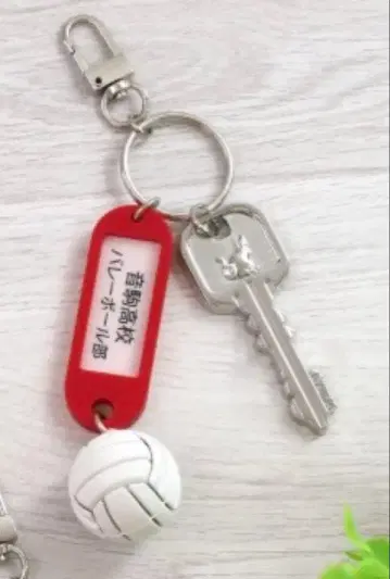 하이큐 트레이딩 고교명 포함 열쇠 참 키링 네코마 고교