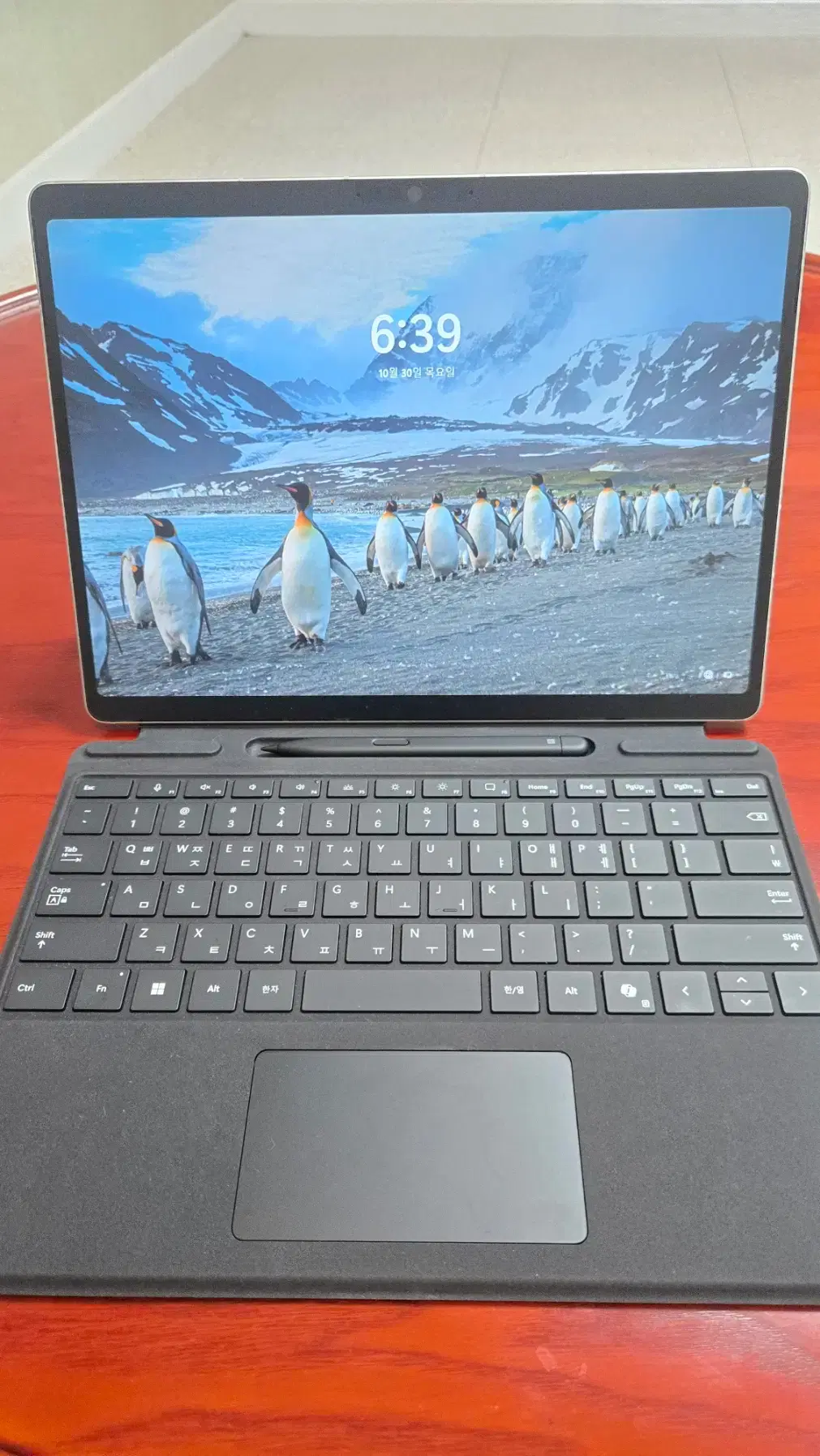 Microsoft Surface Pro 11 5G + Keyboard + Pencil Full Box Set #서피스,#마이크로소프트,# 서피스프로11,#셀룰러 on Bunjang Global Site., image size:1011x1795
